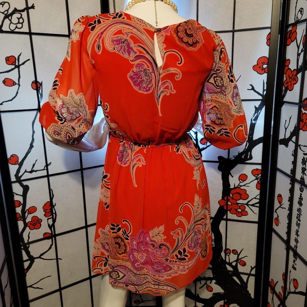 ENFOCUS STUDIO LADIES SHEER BLOUSON PAISLEY DRESS/ORANGE PAISLEY ART/SIZE 6P - Picture 7 of 12